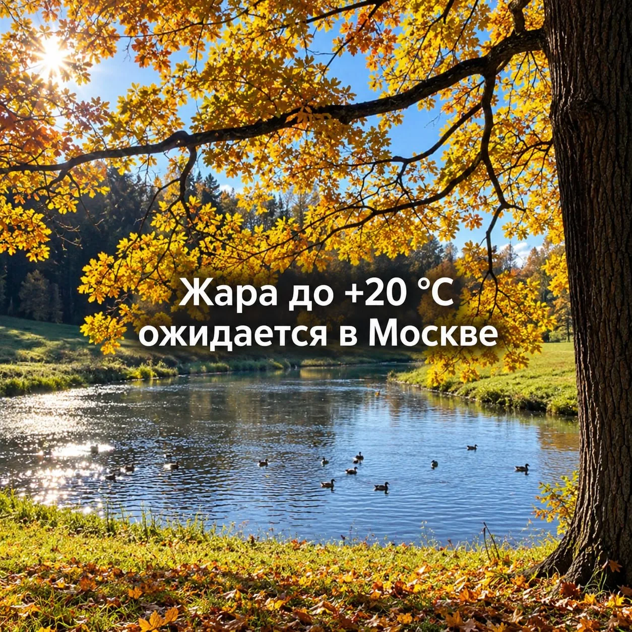 К концу недели в Москву придёт заметное потепление ☀