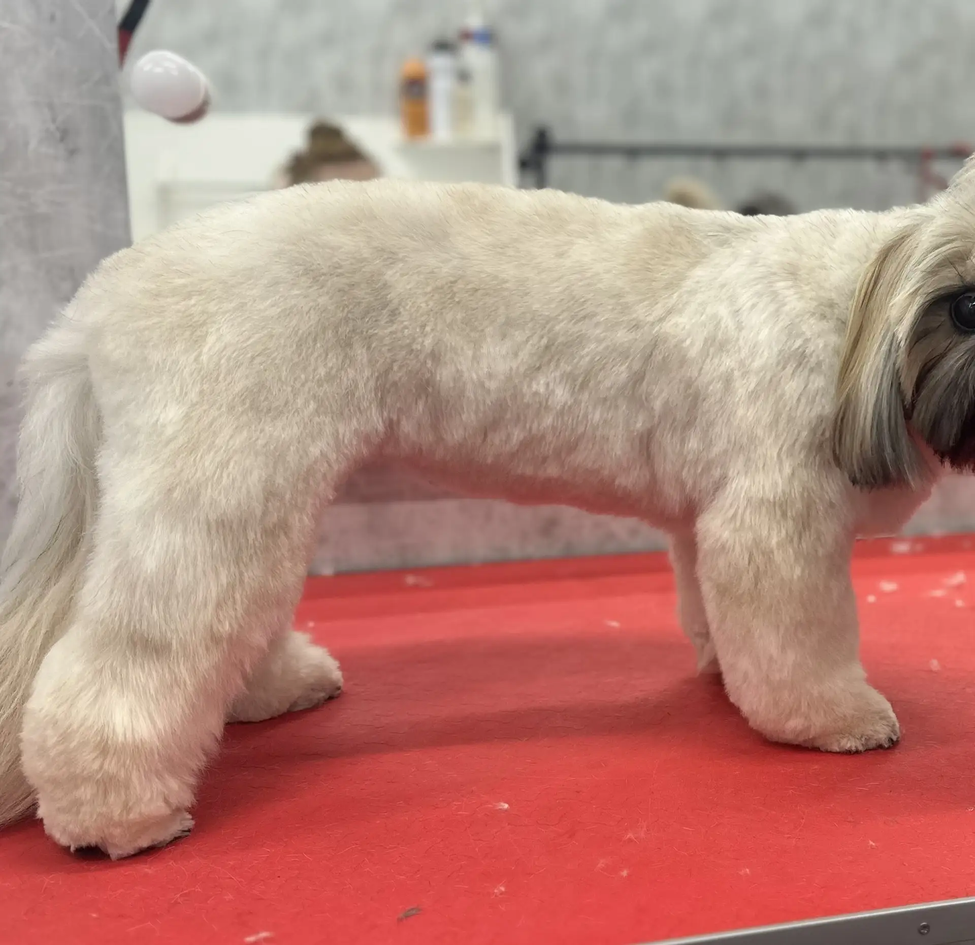 Та самая стрижка «1 сантиметр»✂️