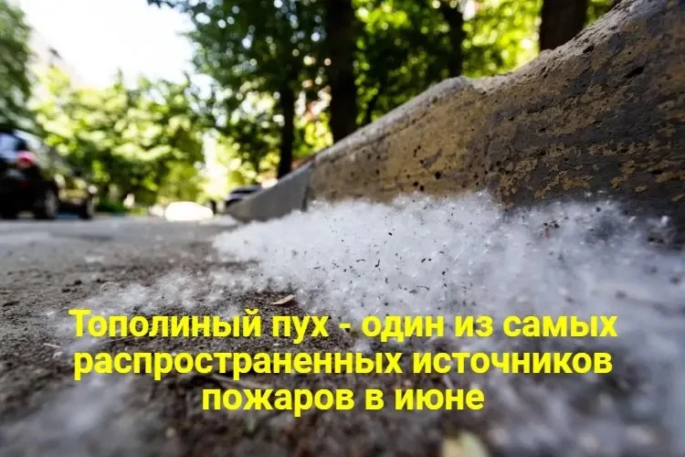Друзья, лето — время радости, но и время быть ответственными. 👫

Поджигать тополиный пух запрещено 