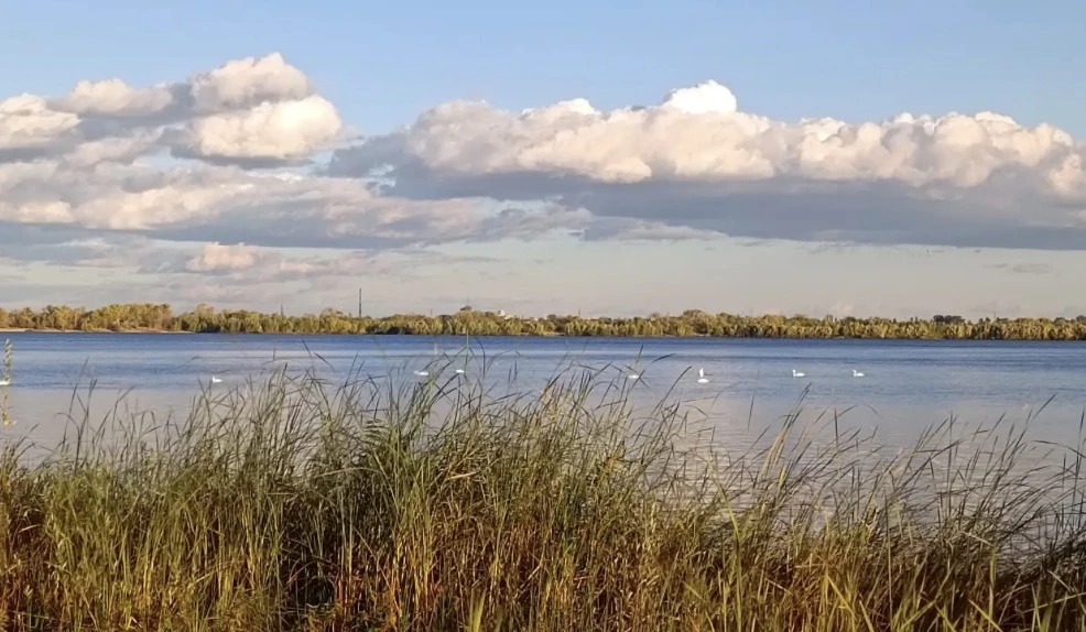 Доброе утро, Спартановка!❤️😍
