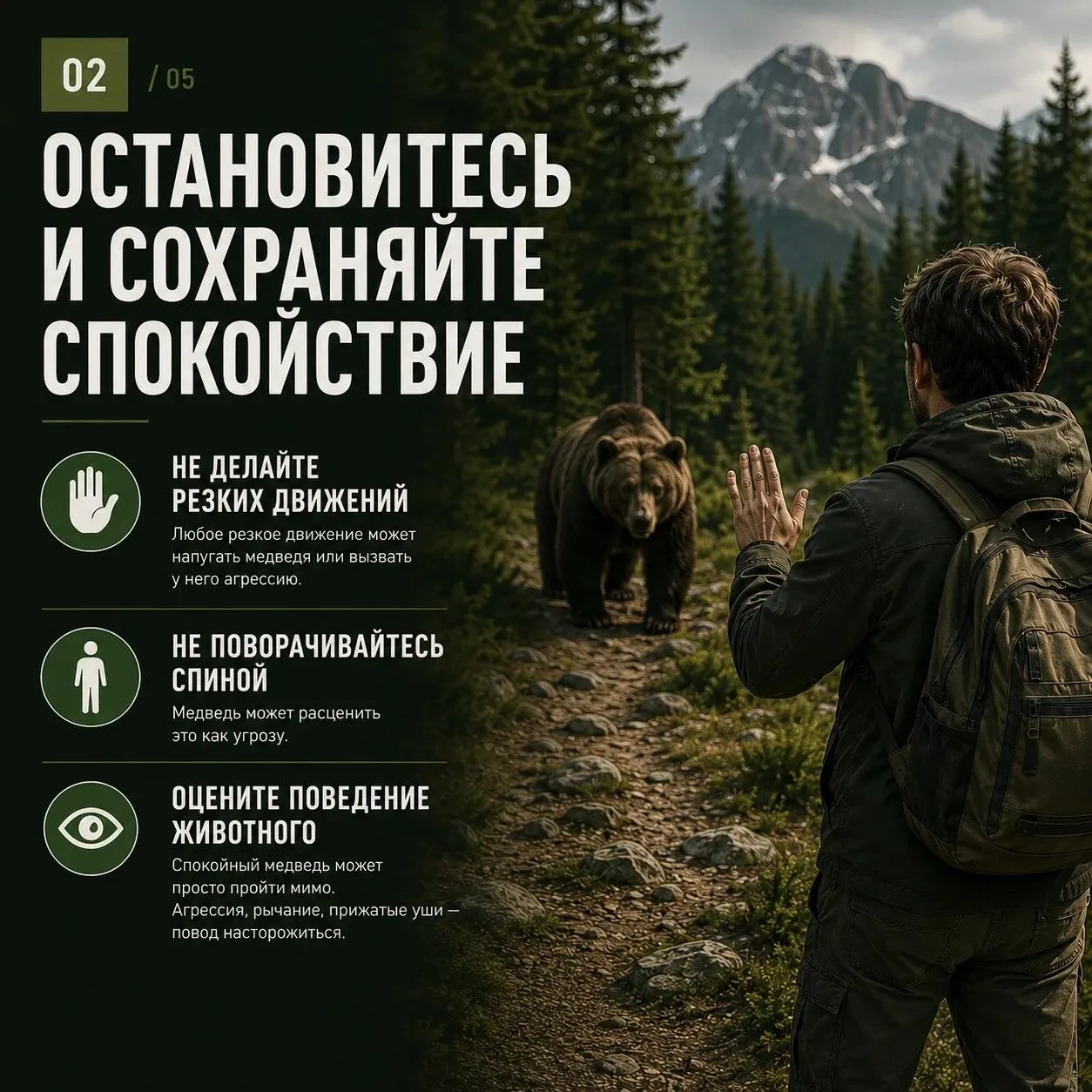 Встретить медведя в лесу – ситуация, к которой лучше быть готовым заранее.