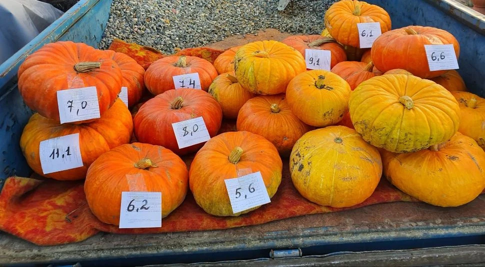 Продам тыкву, цена 60 руб./кг. Самовывоз район ул. Варганова. 89243758033