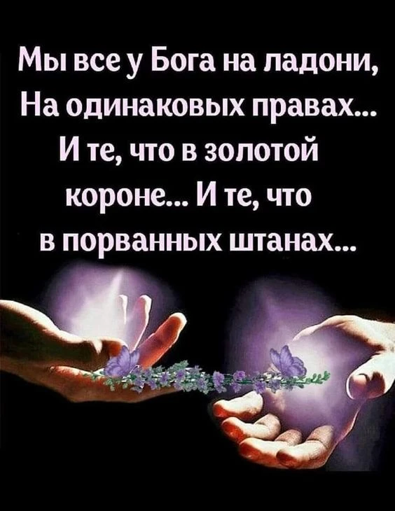 #мудрыеслова