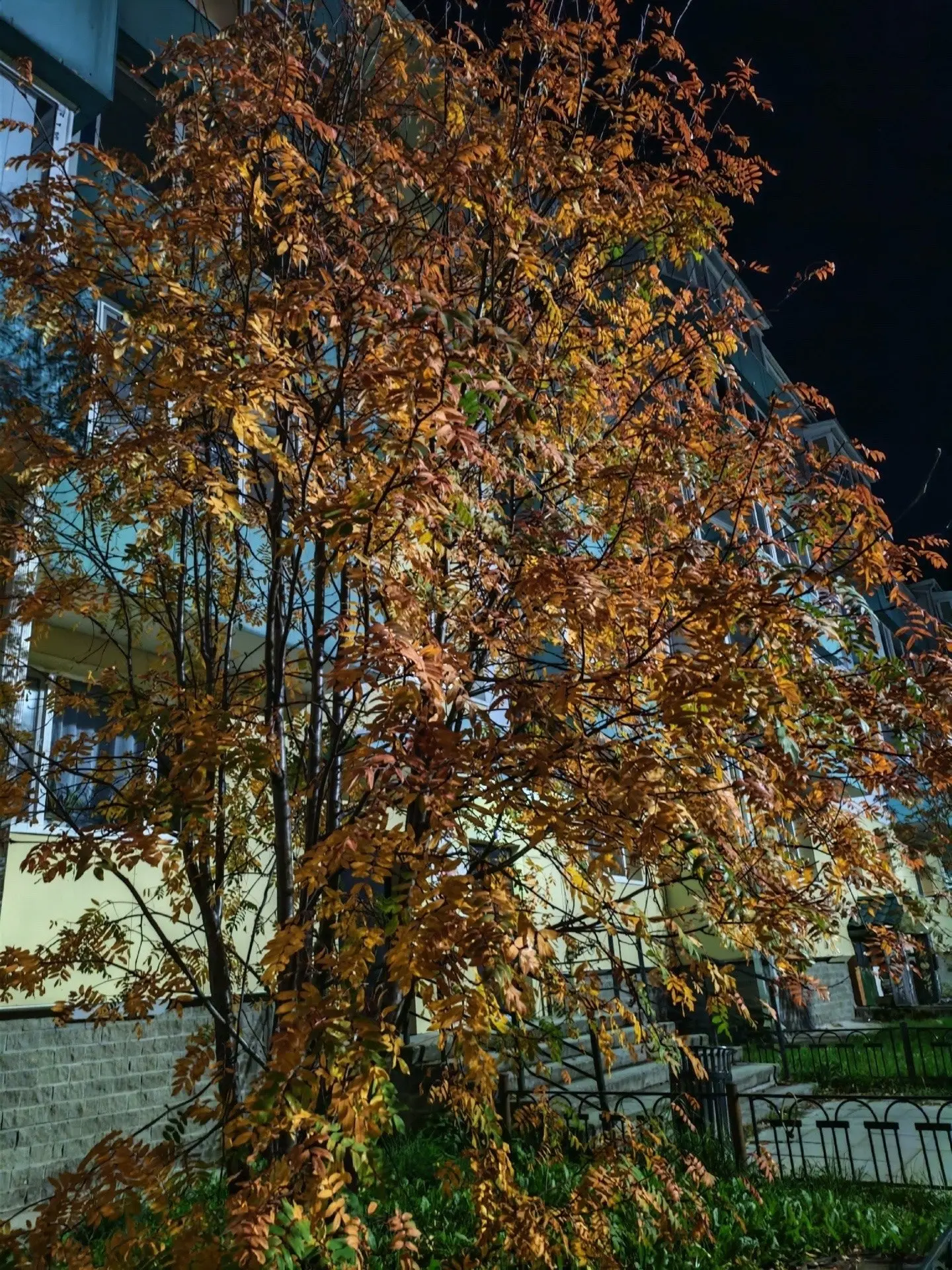 Природа готовится к земе🔥
