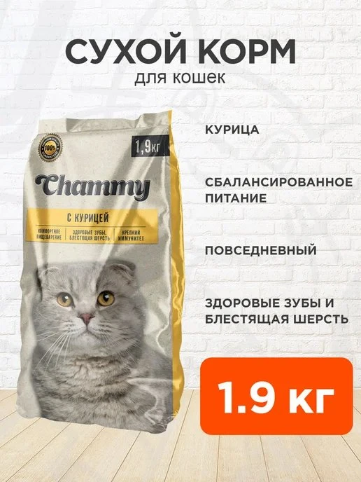 🔥 ЦЕНА УПАЛА НА 24%