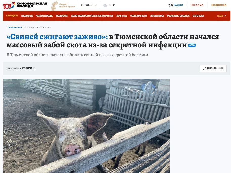 Очень странные дела происходят на юге Тюменской области.