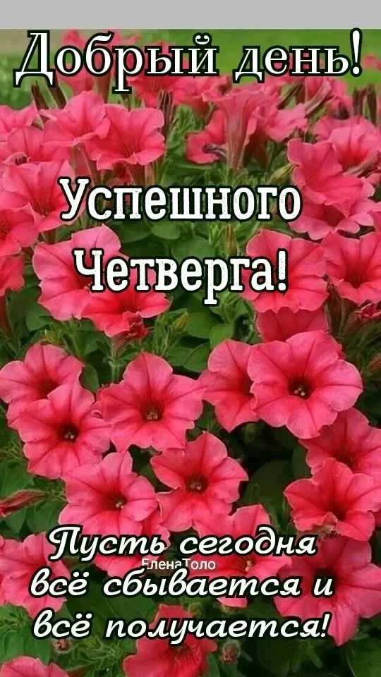 🥰 Ставьте реакции и делитесь открыткой с близкими ❤️

💌 Лучшие Открытки в MAX 
👉 Подписаться