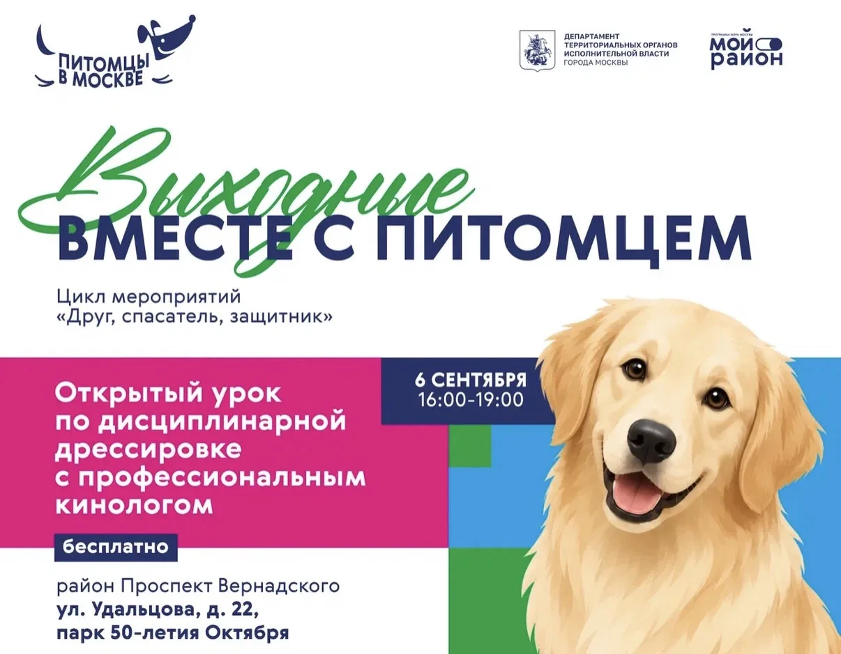 Открытый урок по дрессировке в районе Проспект Вернадского