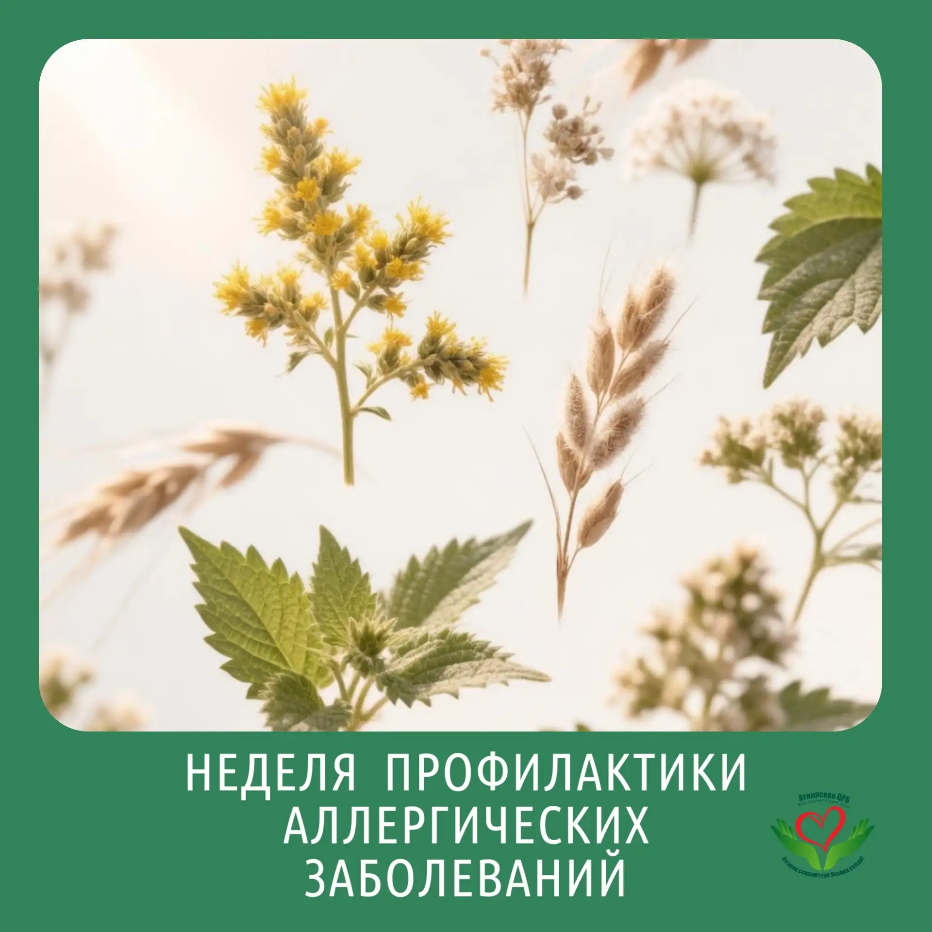 Неделя профилактики аллергических заболеваний: дышите свободно! 
 
☀ Лето в разгаре, но для многих э