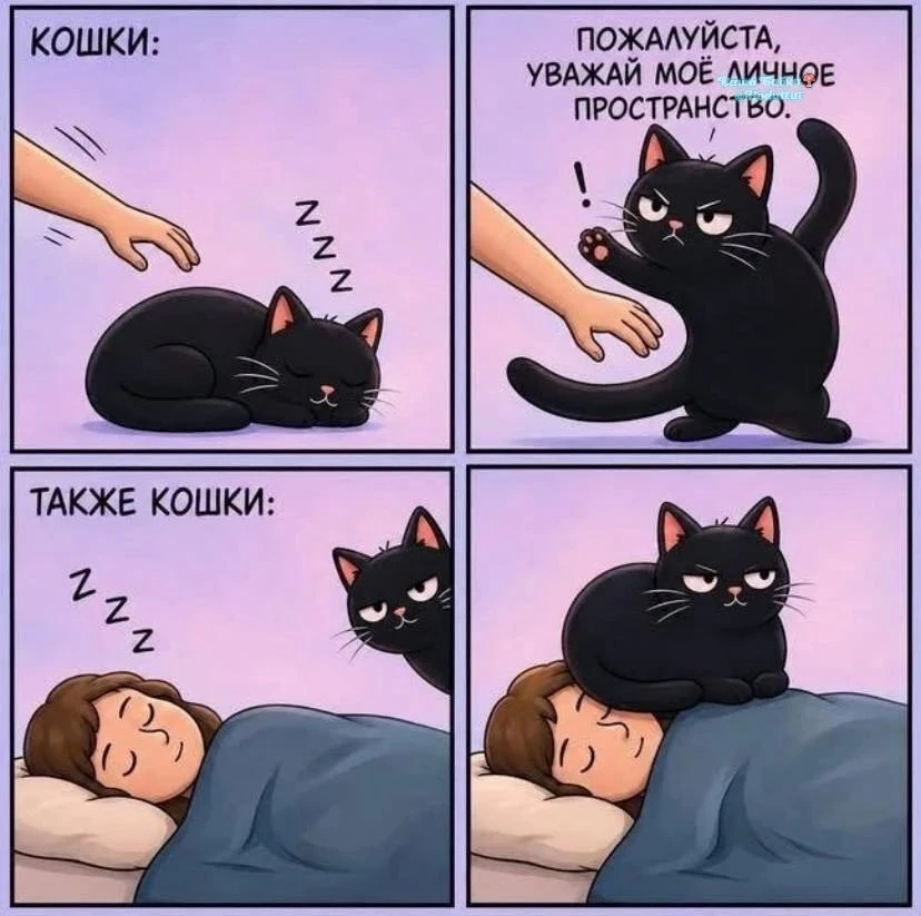 Это другое 🙄