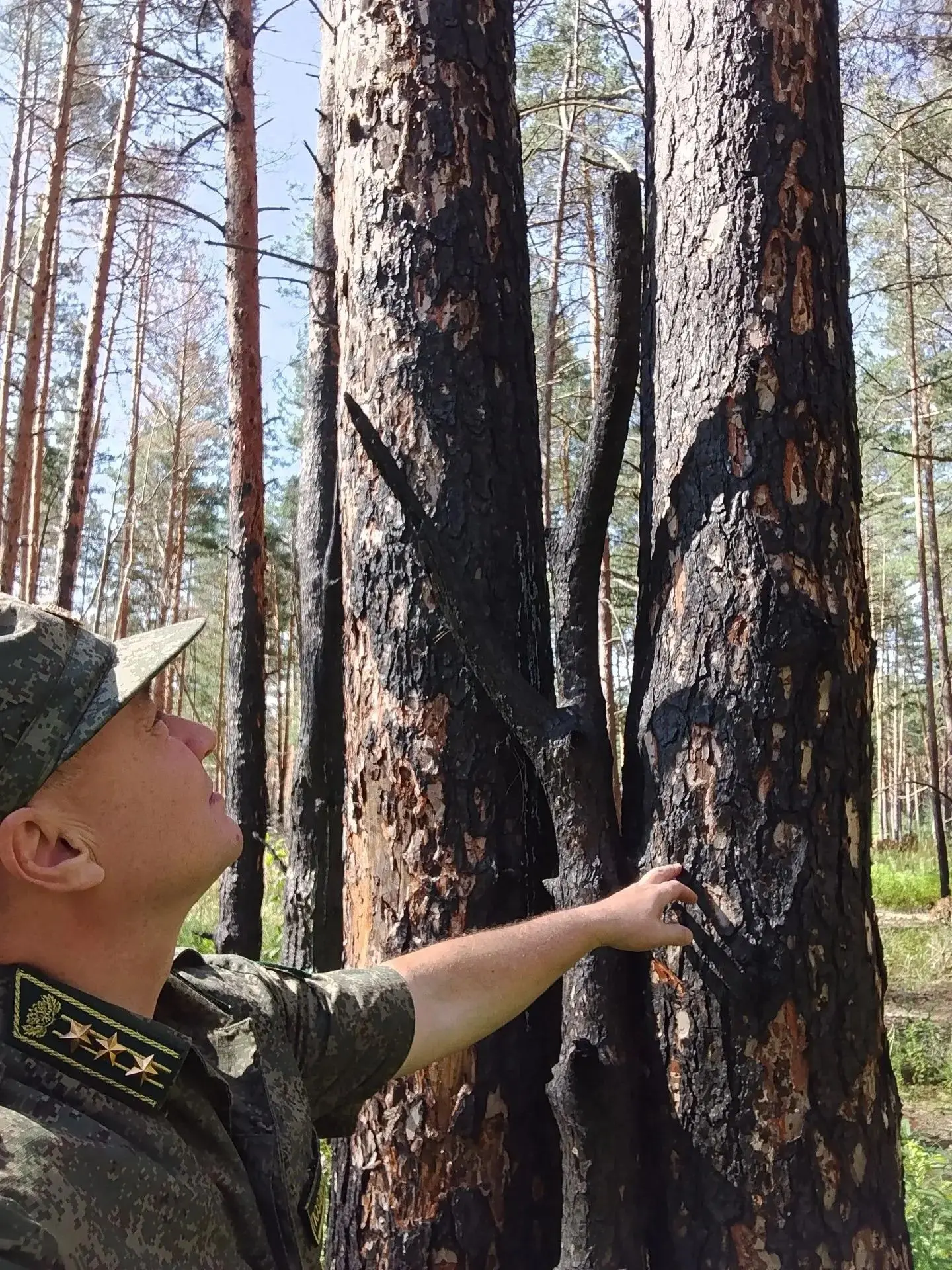 В Пурдошанском участковом лесничестве сотрудники обследовали участки леса, пострадавшие...