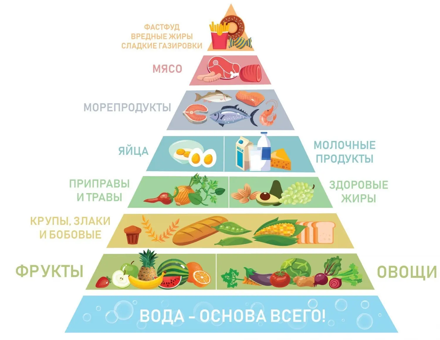 Здоровый образ жизни и ГТО. Как выстроить режим питания