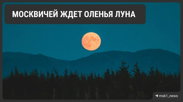 Москвичи и жители подмосковья,  в ночь на 29 июля смотрите в небо внимательнее. Нас ждёт одно из сам
