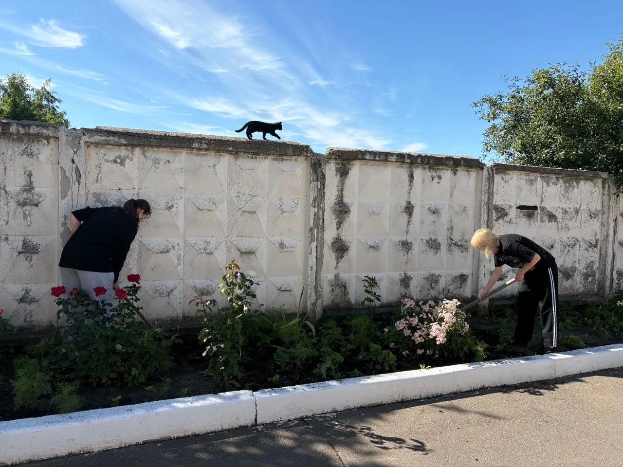 🌿7‑й день лагеря труда и отдыха: труд, память и уважение🌿

☀️С утра, после вкусного завтрака, ребя