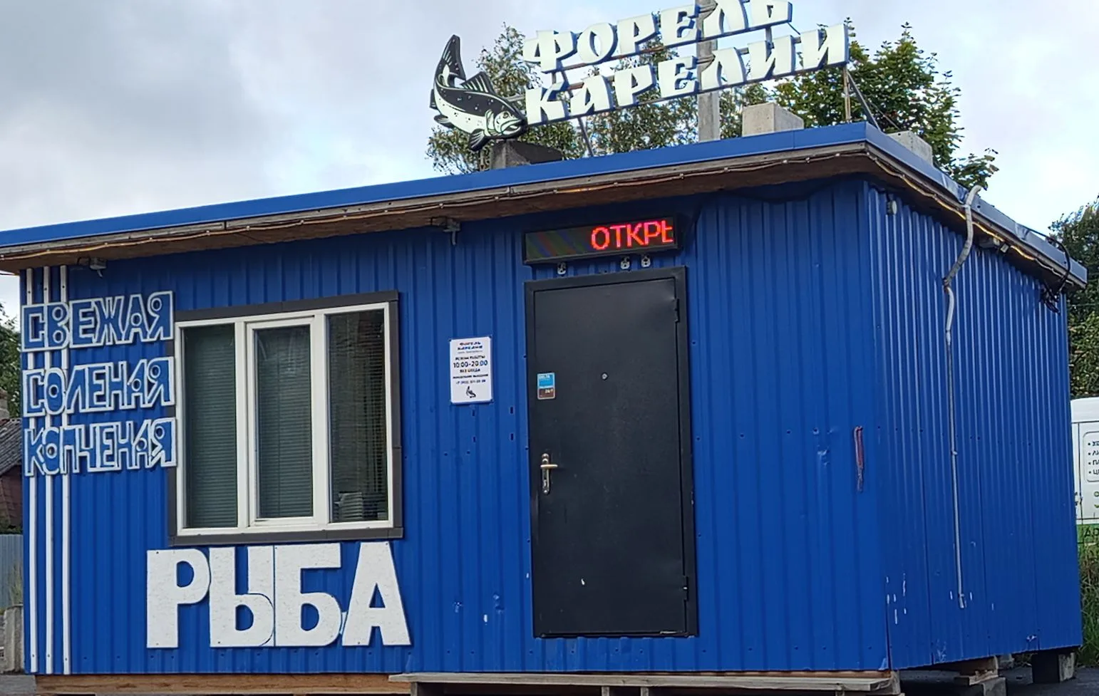 Свежий СИГ в наличии