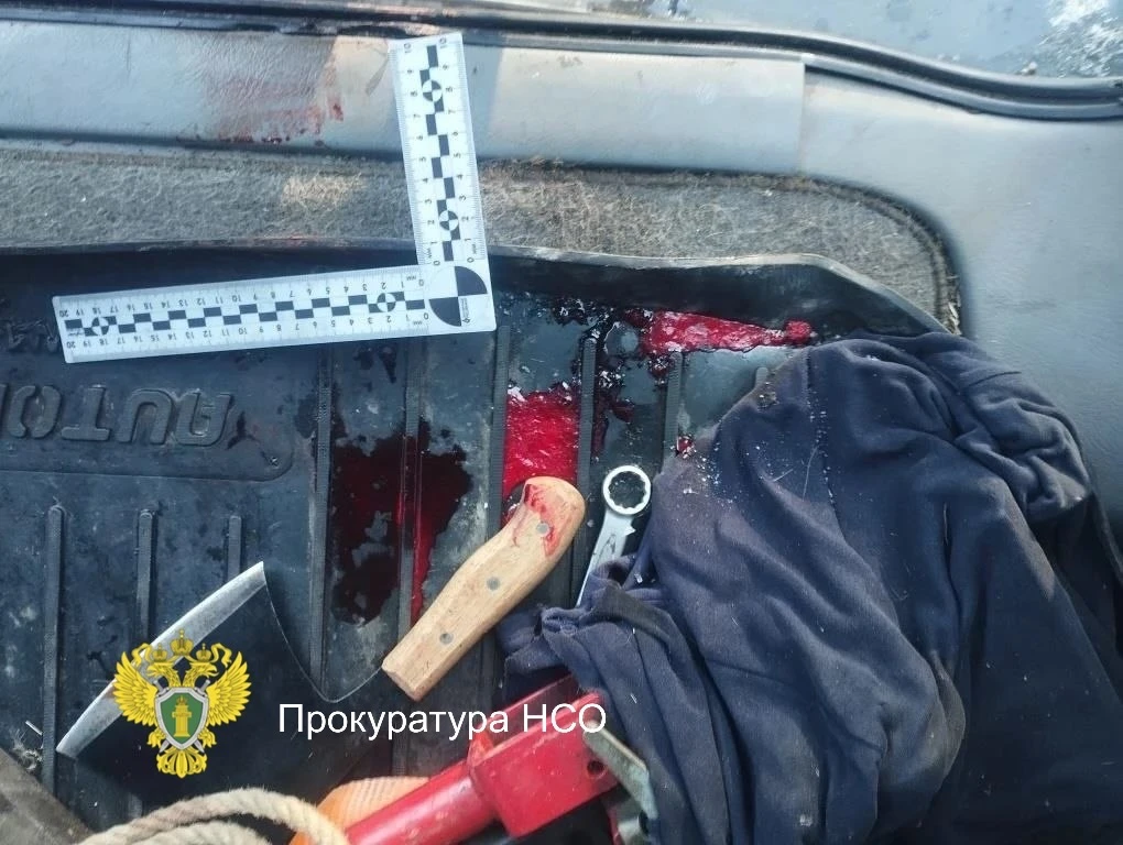📍Попались с поличным: в Барабинске осудили троих браконьеров за незаконную охоту на  косуль  Барабин