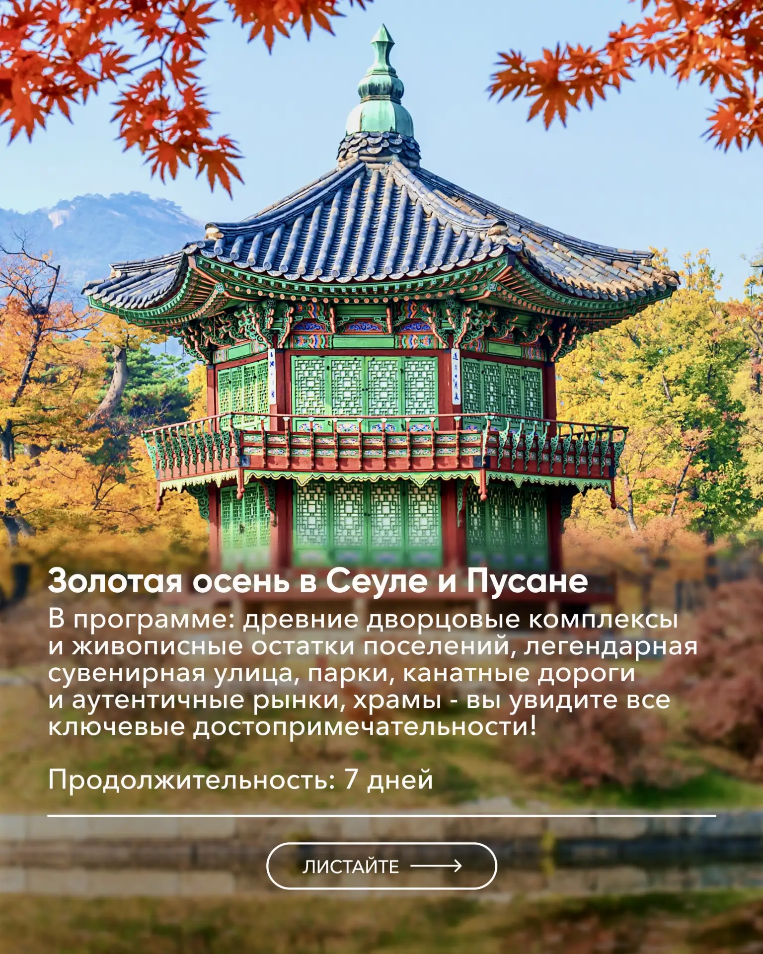 Сегодня в Южной Корее отмечают романтичный День роз (Жёлтый день): влюблённые дарят дру...