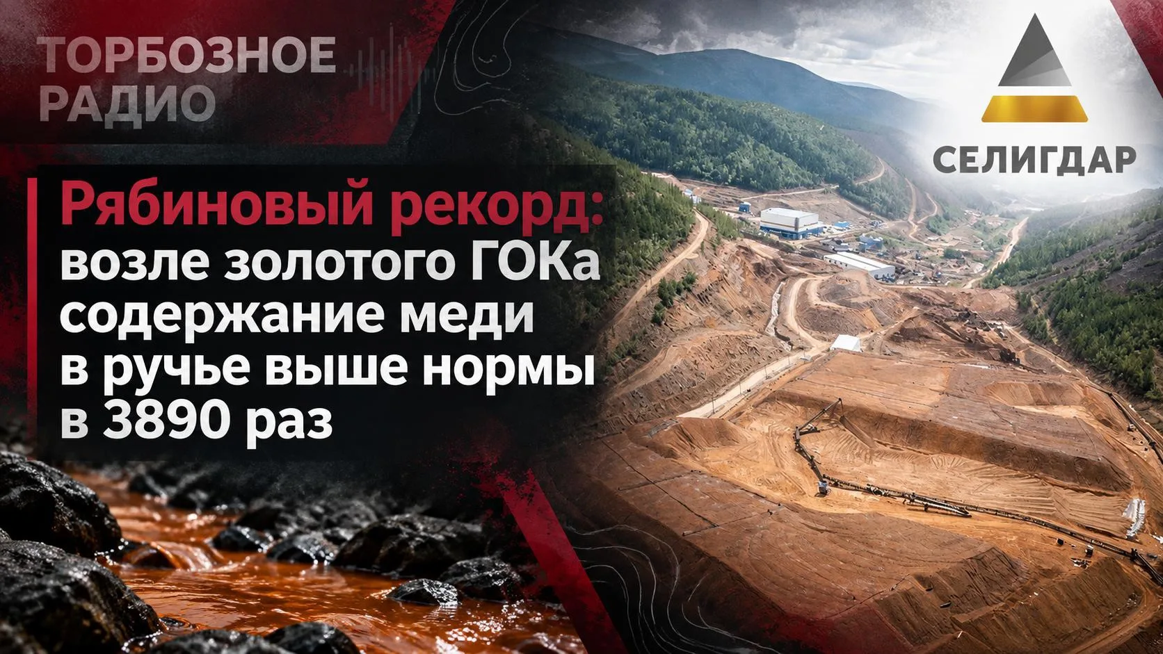 Рябиновый рекорд: возле золотого ГОКа  содержание меди в ручье выше нормы в 3890 раз