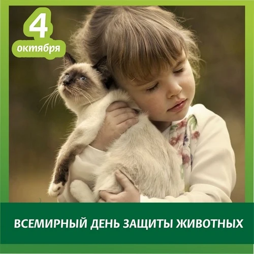👍Спасибо всем принявшим участие в Акции "Пакеты для приюта" 🐶