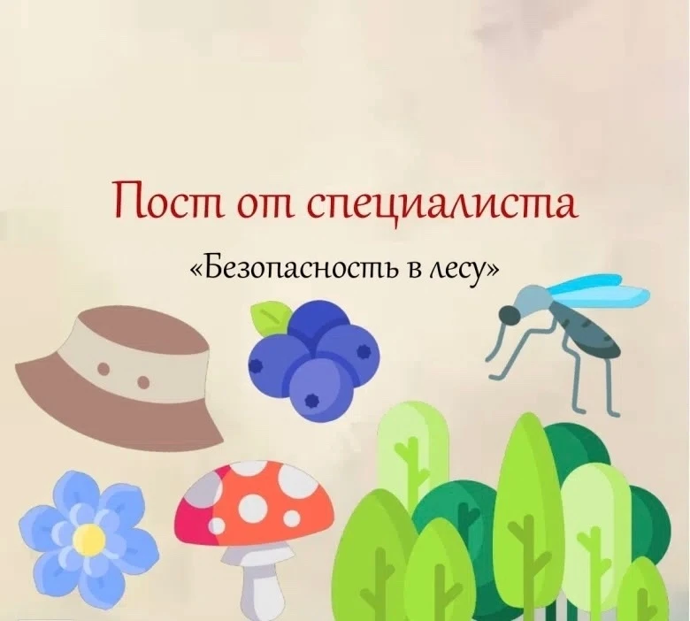 Поход в лес понравится любому ребенку, ведь на природе можно бегать, прыгать, веселиться. А среди де