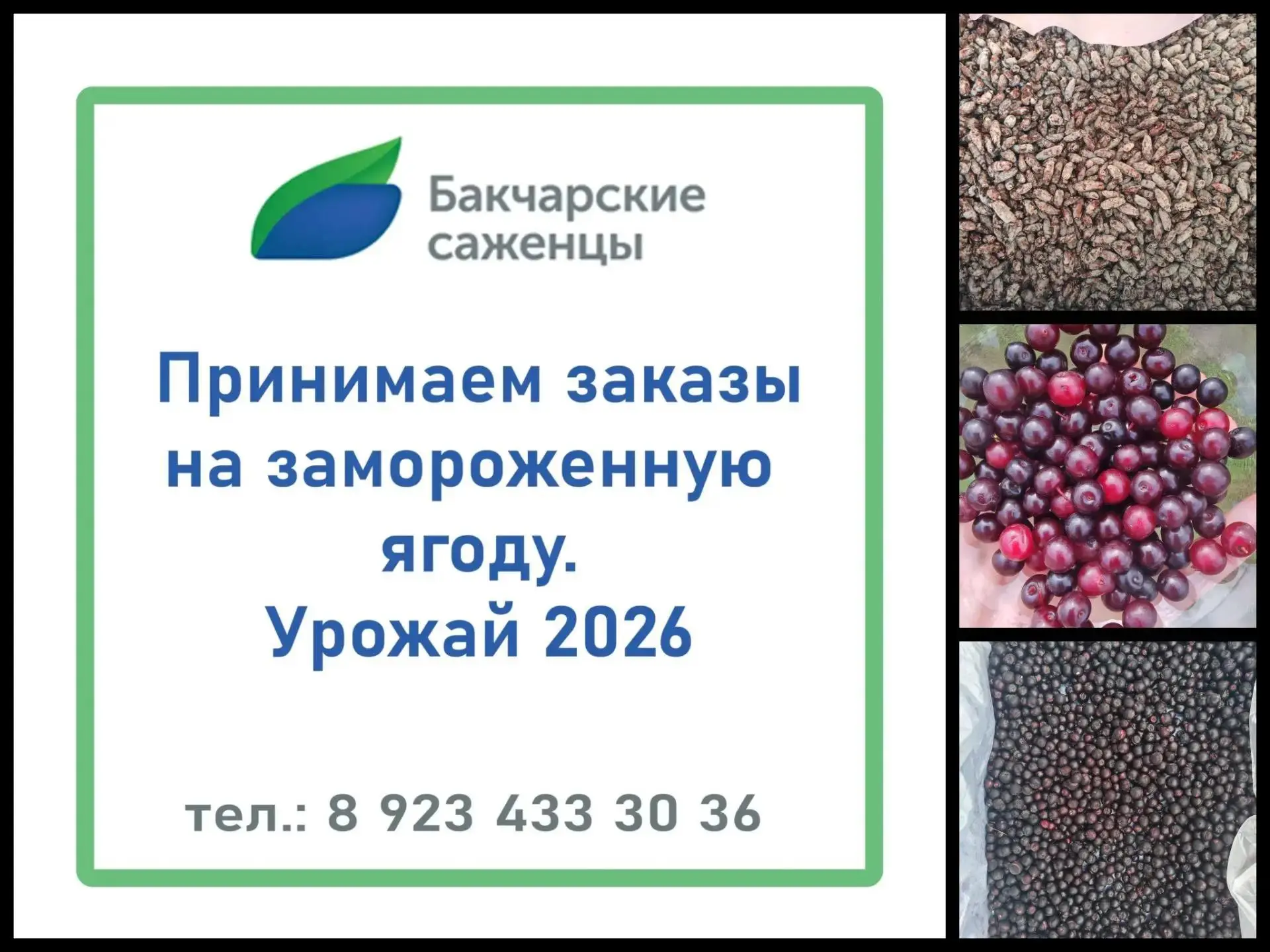 🍇❄️ ТОМИЧИ! ❄️🍇