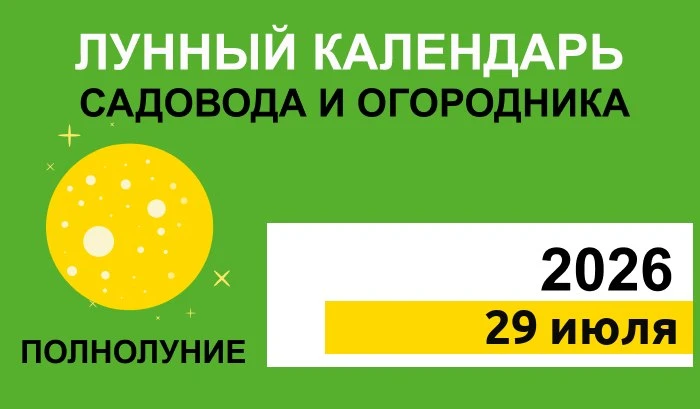 29 июля — среда, 15 лунные сутки. Луна в Козероге. 🌕 Полнолуние ✅ Работы: рыхление, окучивание, мул