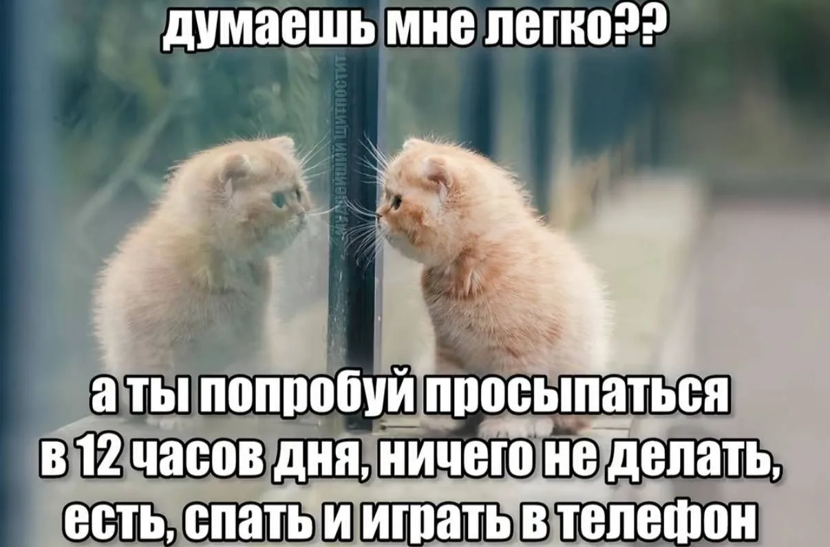 Иногда кажется, что ребёнок просто ленится и целыми днями сидит в телефоне. Но прежде ч...