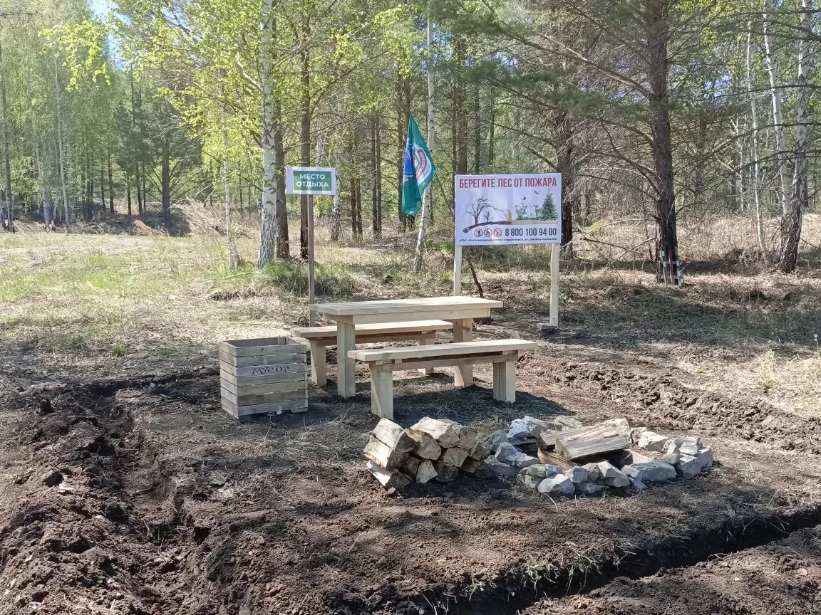 🌲Словно картинка - красиво, аккуратно и безопасно!
