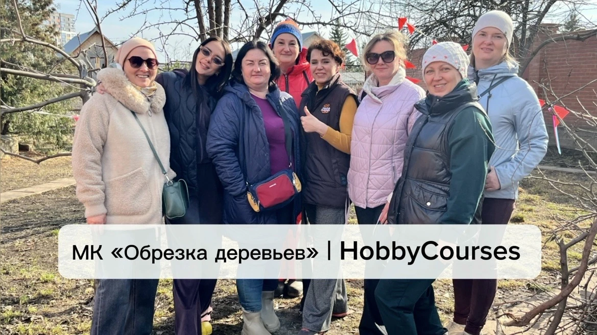 Добрый день 🌞