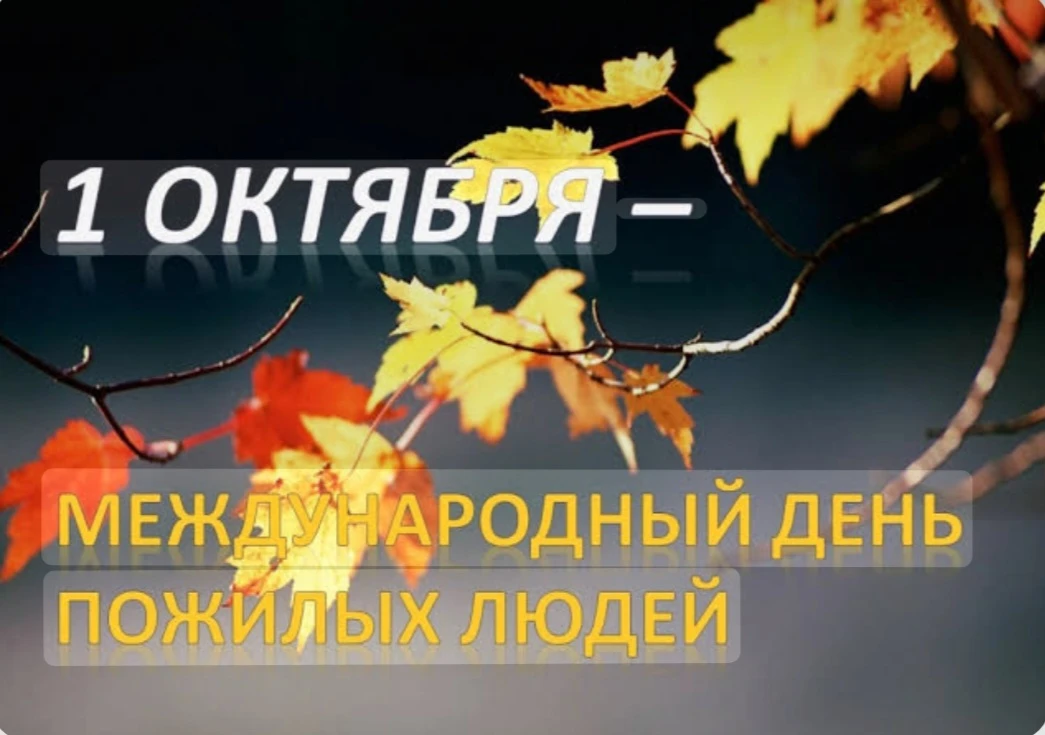 Дорогие наши ветераны, представители старшего поколения!