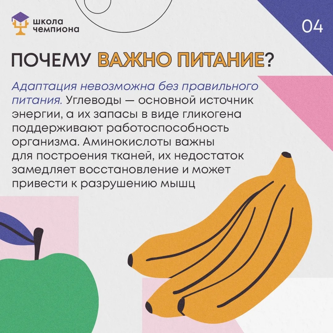 Как организм адаптируется к нагрузкам 🫀