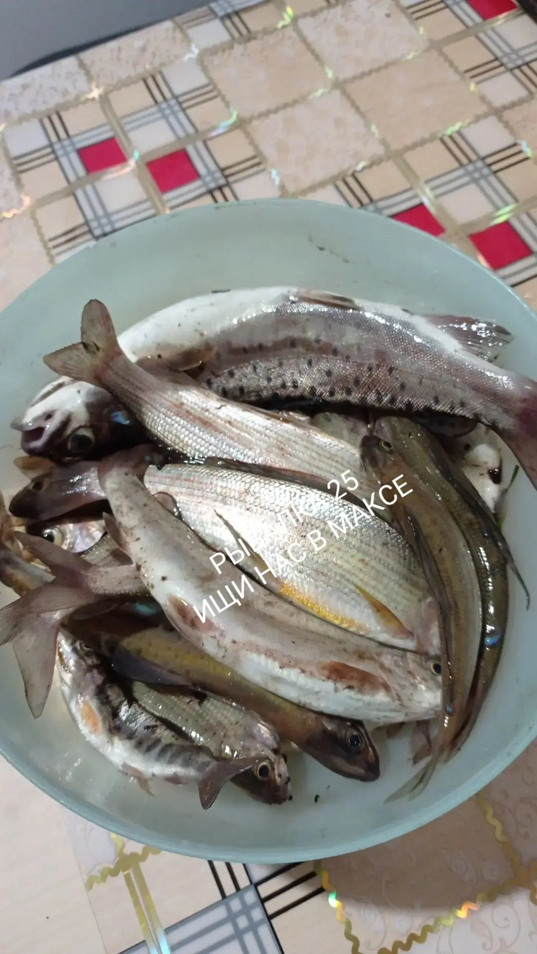 Муравейка. Вчера
