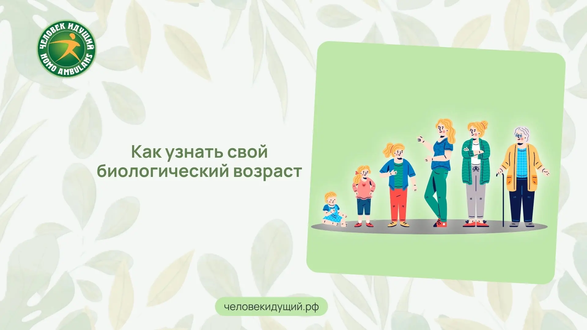 Как узнать, стареет ли организм быстрее паспортного возраста? Эксперты из 19 стран определили 14 мар