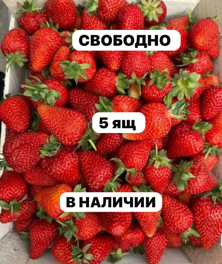 В Норильске : 
Клубника 5 ящ 
2500 руб
В Талнахе : 
Черешня 1 ящ 
ЗАБРОНИРОВАТЬ* 89831934593

[конта