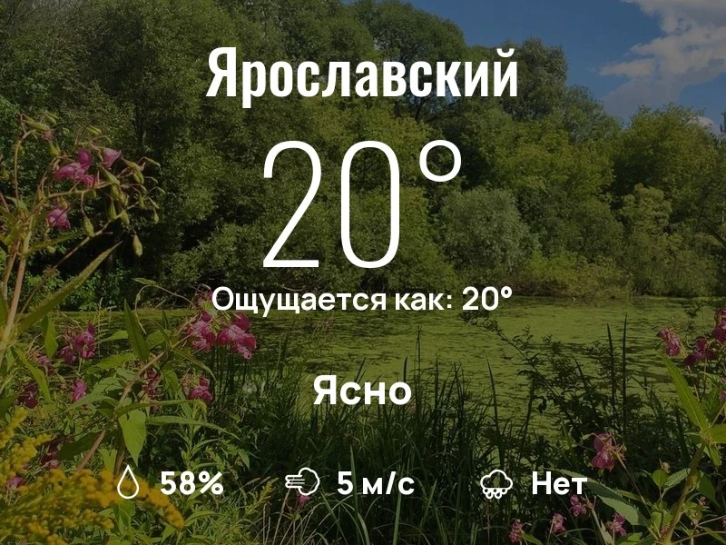 Что с погодой в Ярославском?

Одевайтесь по погоде, берегите себя!
Приятного дня, соседи!

#погодана