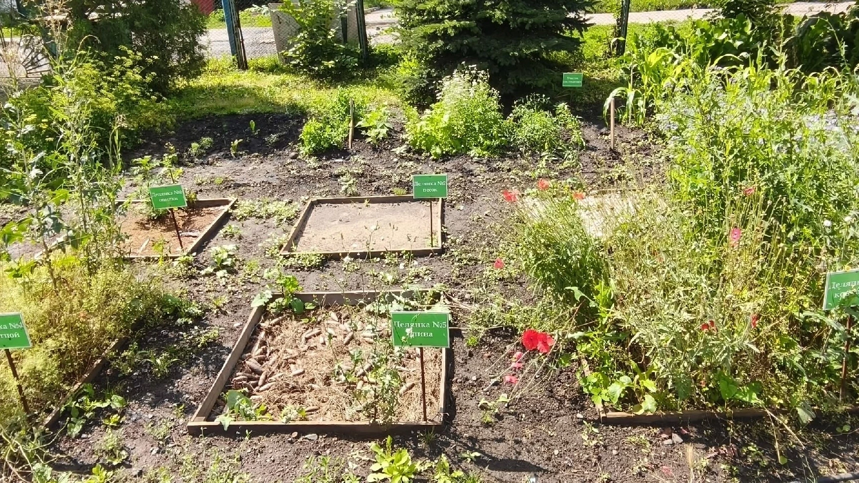 🌿Живая лаборатория почв

На учебно-опытном участке Центра эколого-биологического образования особое