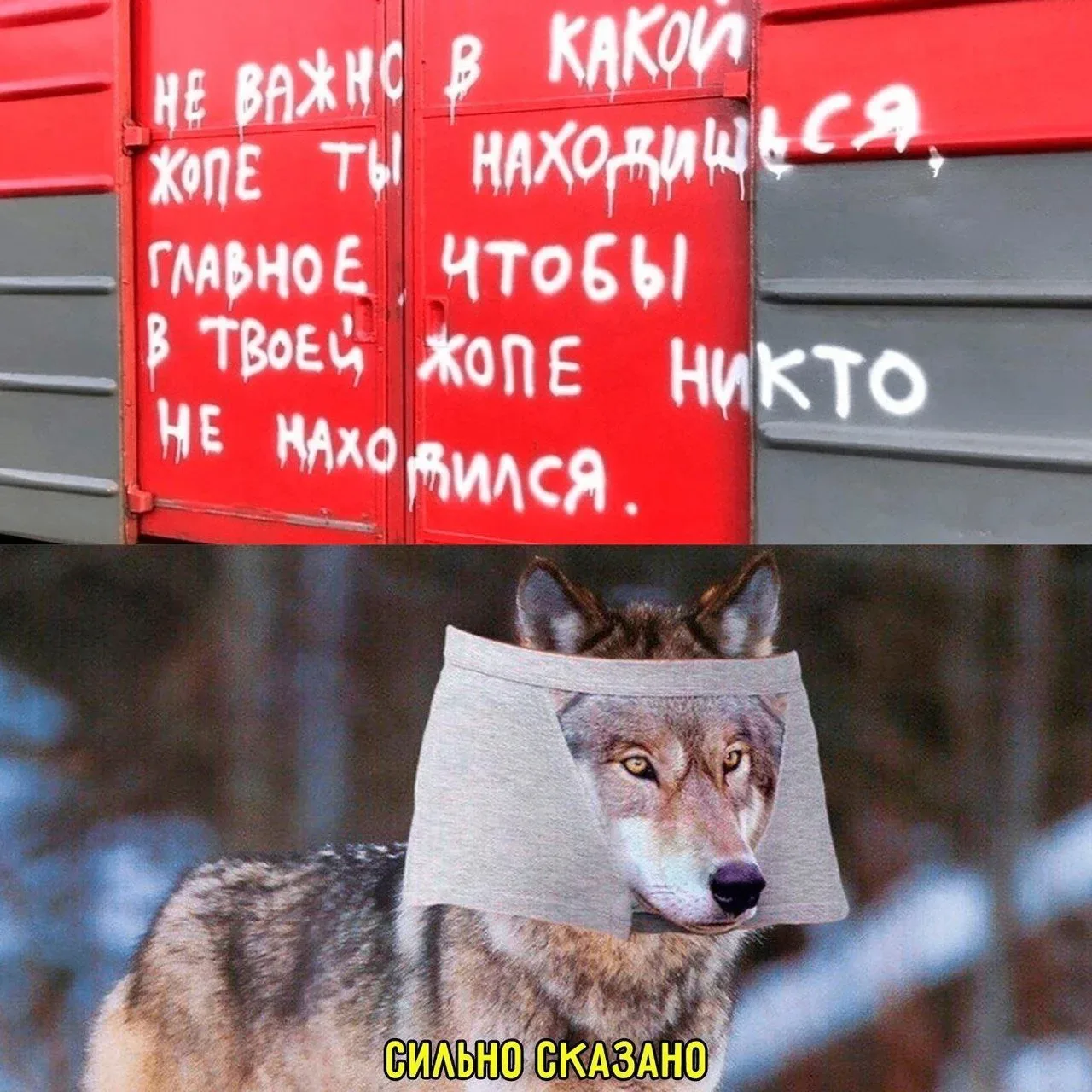 Смех без цензуры😈