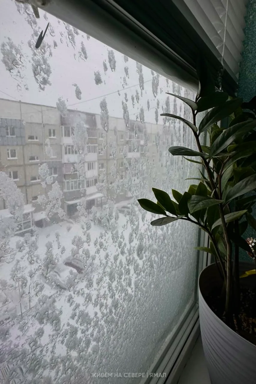 Ещё немного снежного контента ☃️  В этот раз добавим контрастности из Большого Приуралья, где солнце
