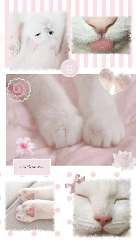 🌸 Для нежной заставки