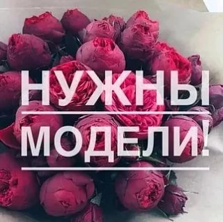 Обновила ☝️