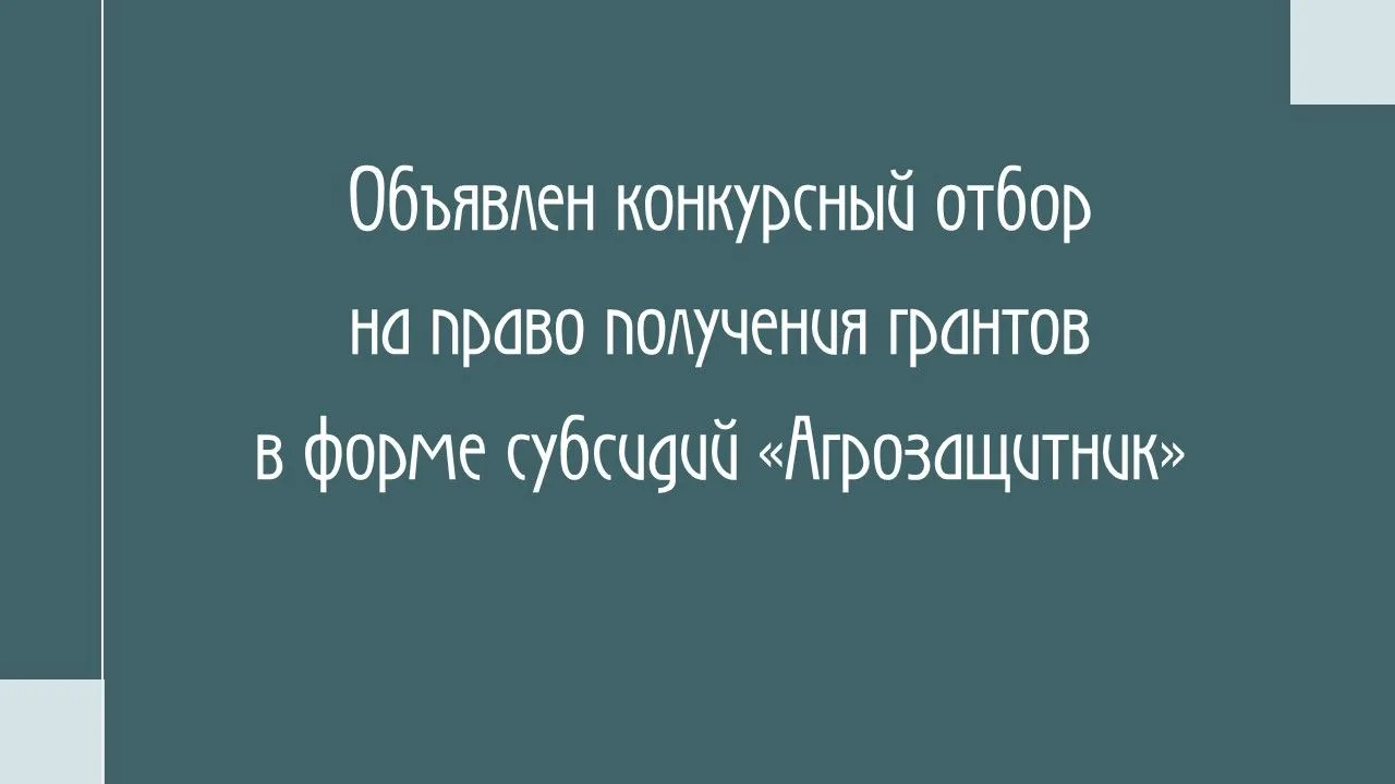 Объявлен конкурсный отбор на право получения грантов в форме субсидий «Агрозащитник»🌾