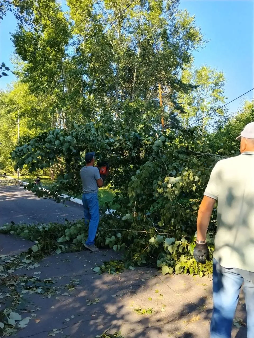 🌳 В Советском парке устраняют последствия вчерашней непогоды