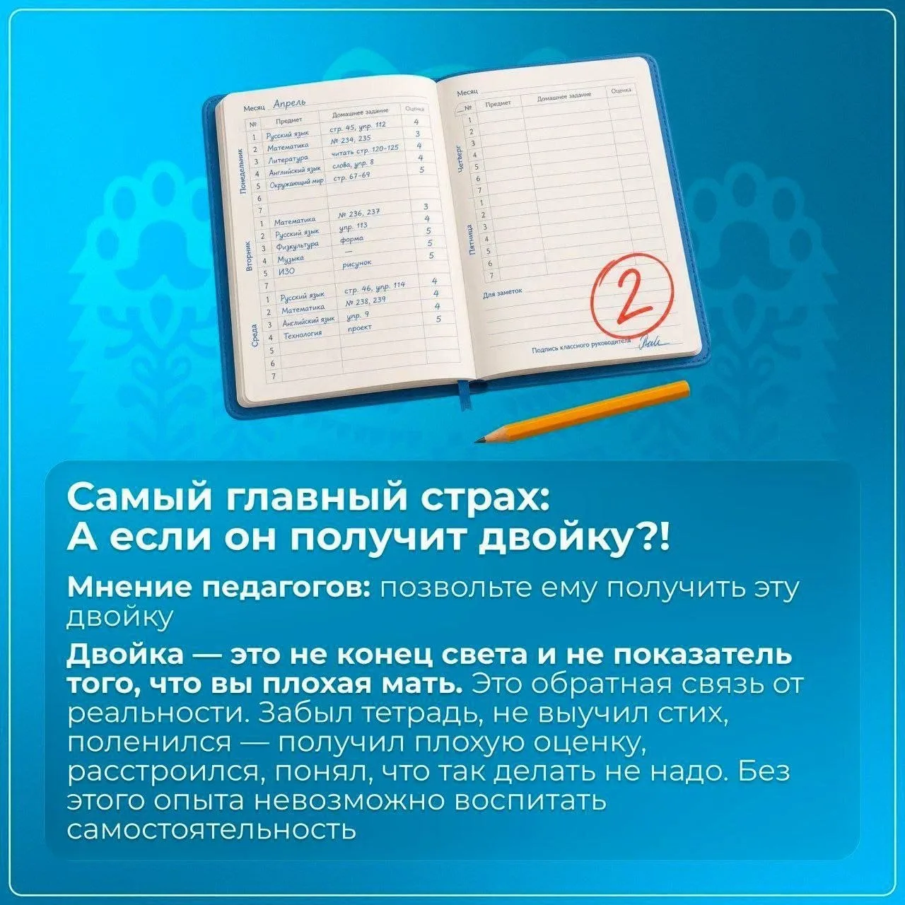 Изображение 6 к публикации «Новости Волгограда и Области»