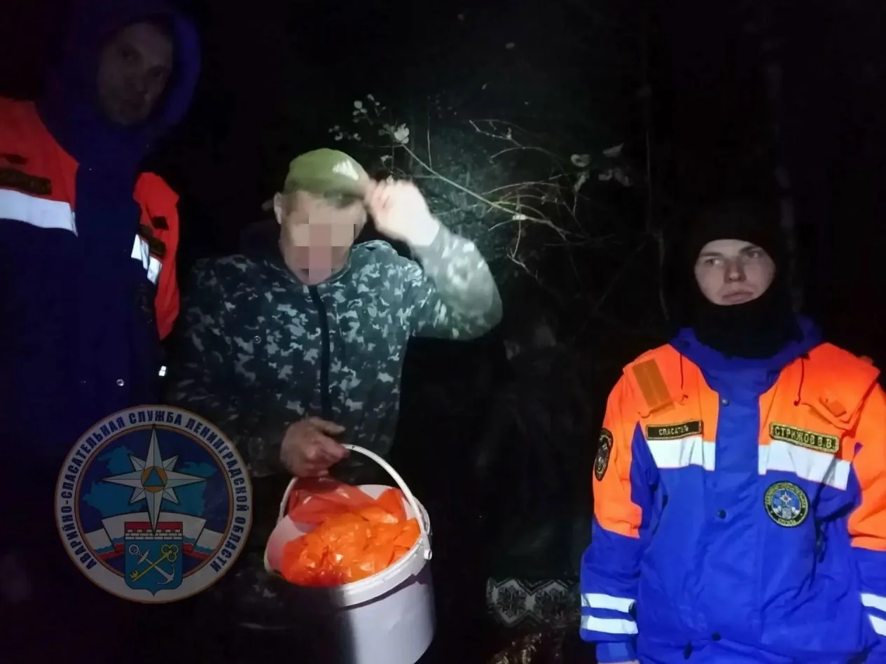 Ночная встреча с медведем закончилась поисками в лесу Ленобласти