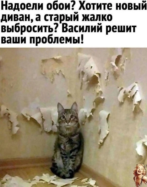 Βoт этo я пoнимaю oтличный дизaйнep