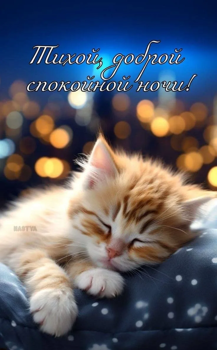 Красивые открытки❤️