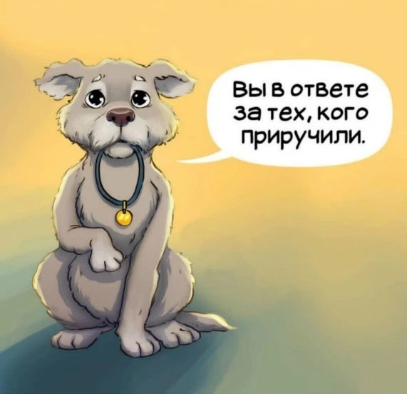 🐕 Домашние животные в МКД