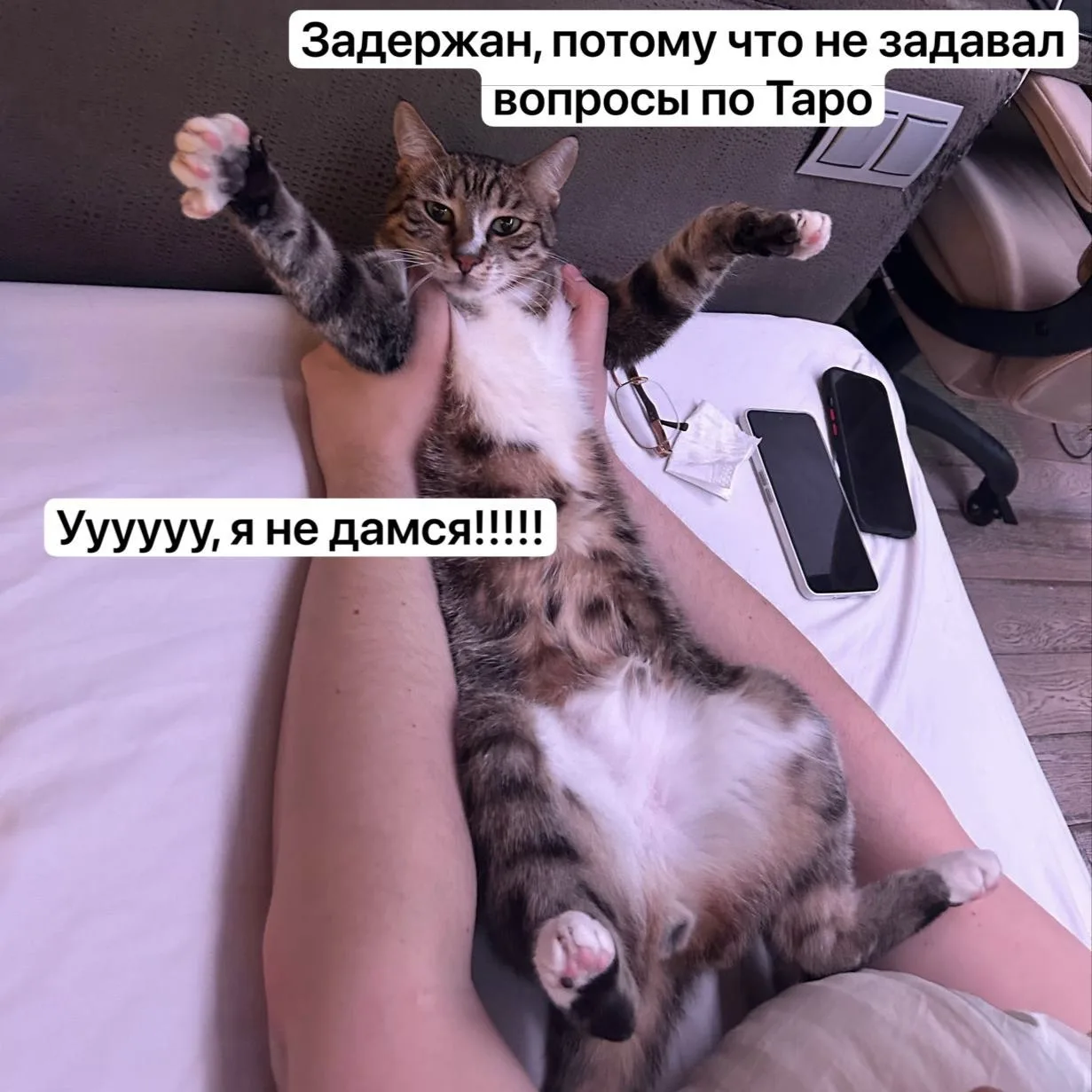 🔊 Помощь Тарологу! Служба 911 на связи  Фродик задержан. Аргументы: Усы, лапы, хвост - вот мои докум
