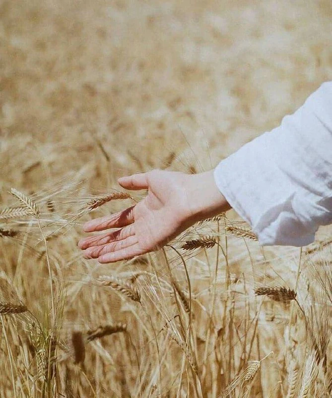 Главное — оставаться собой.

Это великое искусство. Это самое трудное, потому что не требует от тебя