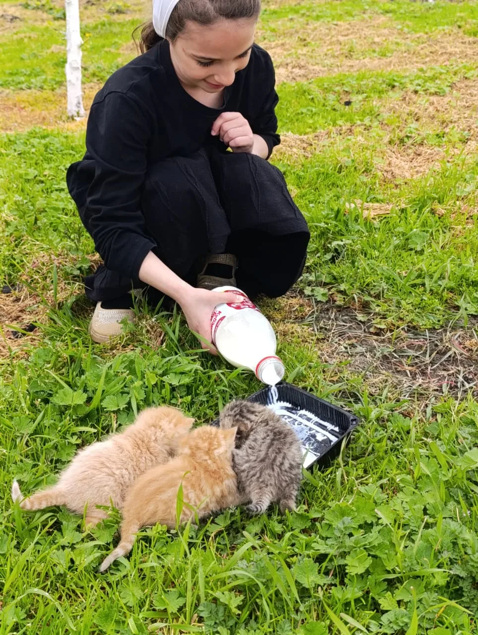 В мероприятиях ко Дню эколят приняла участие Балиева Халифа, ученица 1 А класса. Конкурс на лучшую ф